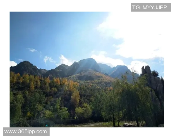 亚达禾与费哈的精彩对决分析及赛后点评